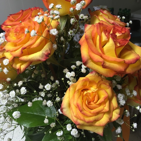 Meet your Posher, Natalie - Picture 1 of 1